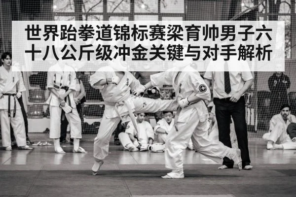 taekwondo competition
