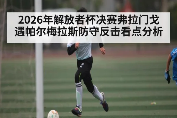 2026年解放者杯决赛弗拉门戈遇帕尔梅拉斯防守反击看点分析 - MK Sports App